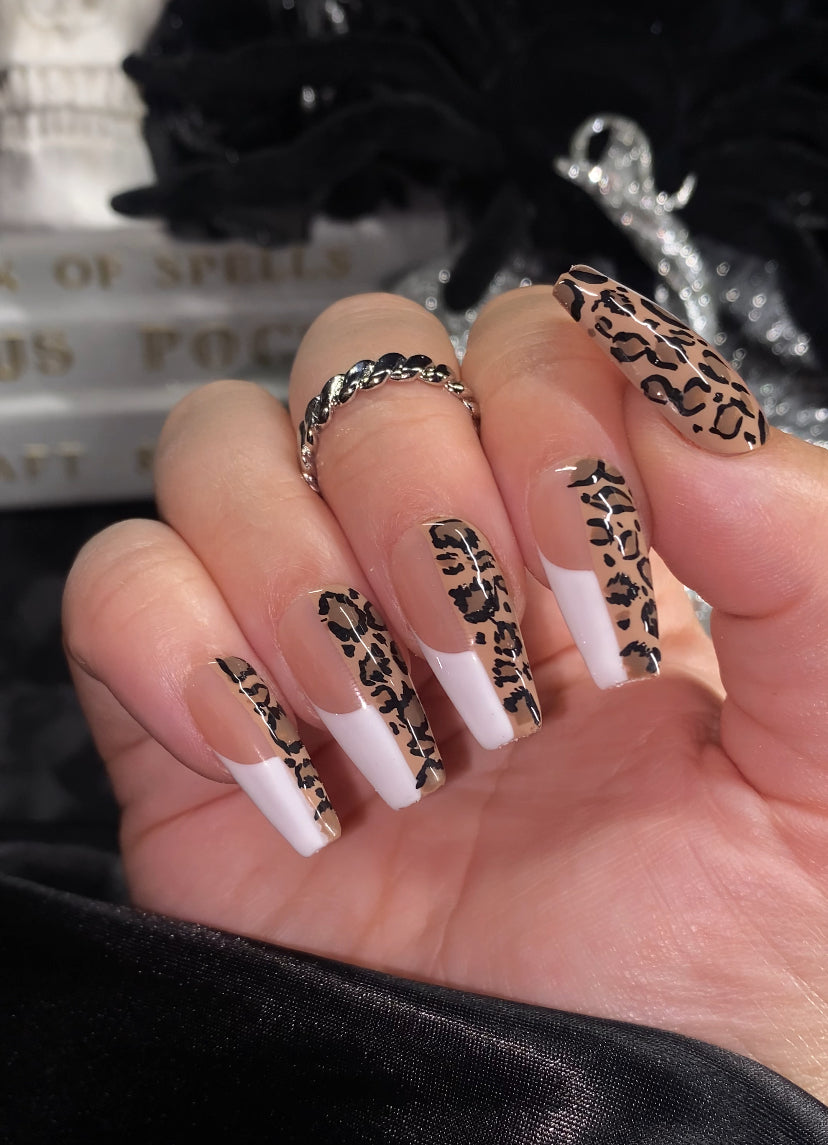 Cheetah